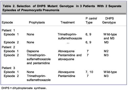 Table 2. Selection of DHPS Mutant Genotype in 3 Patients With 2 Separate Episodes of Pneumocystis Pneumonia